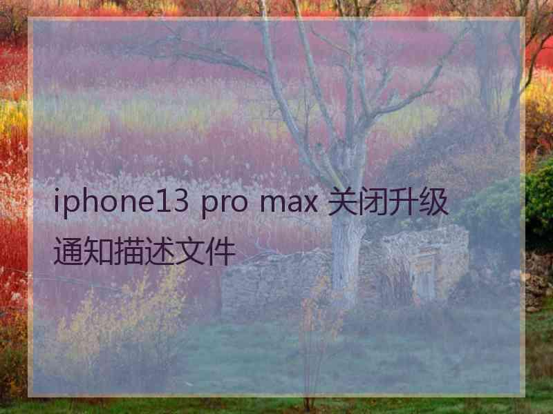 iphone13 pro max 关闭升级通知描述文件