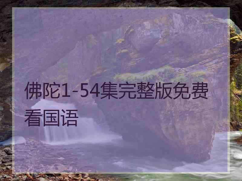 佛陀1-54集完整版免费看国语