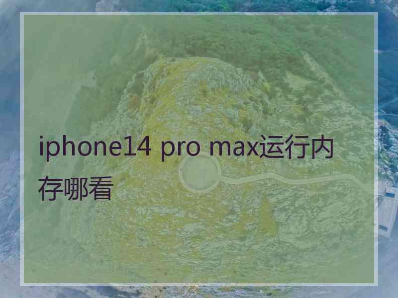 iphone14 pro max运行内存哪看