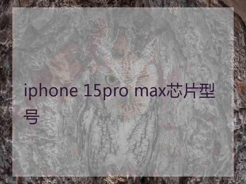 iphone 15pro max芯片型号