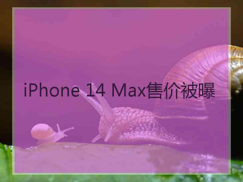 iPhone 14 Max售价被曝