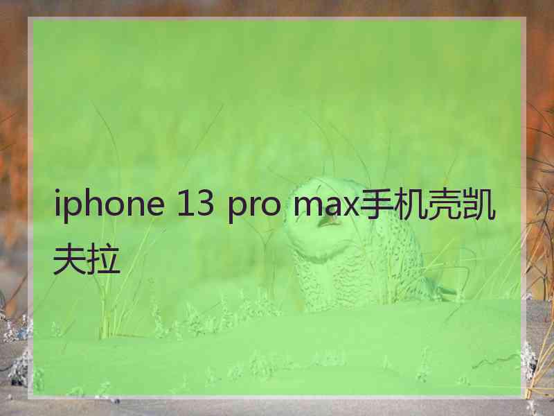 iphone 13 pro max手机壳凯夫拉