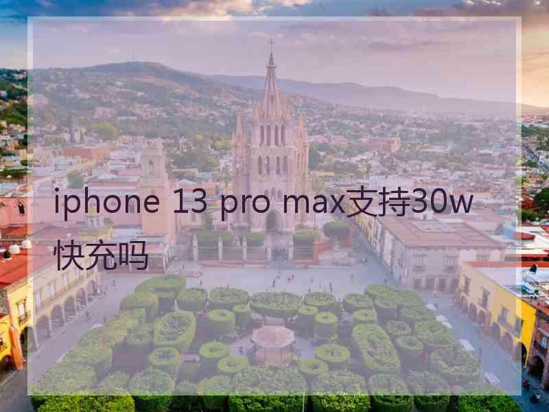 iphone 13 pro max支持30w快充吗