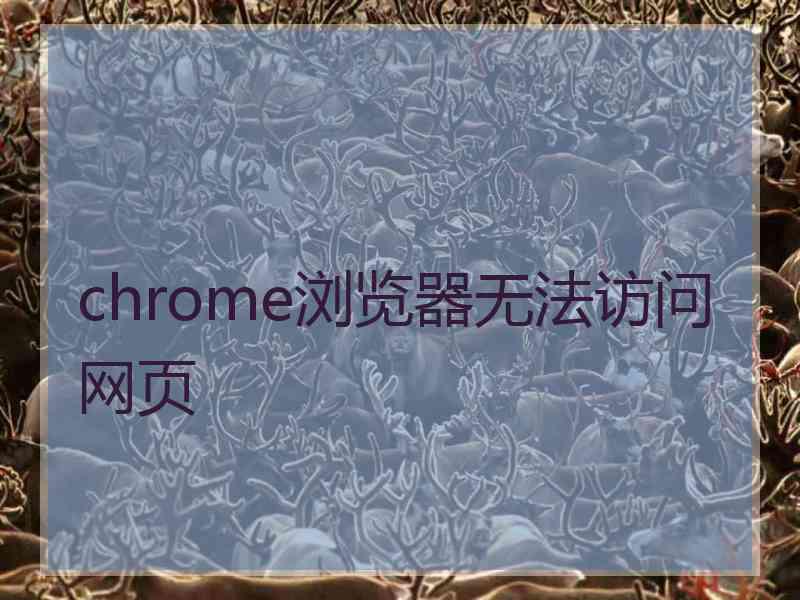 chrome浏览器无法访问网页