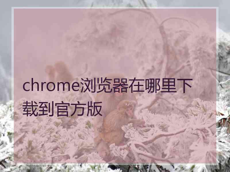 chrome浏览器在哪里下载到官方版