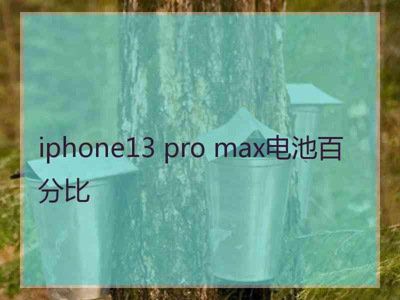 iphone13 pro max电池百分比