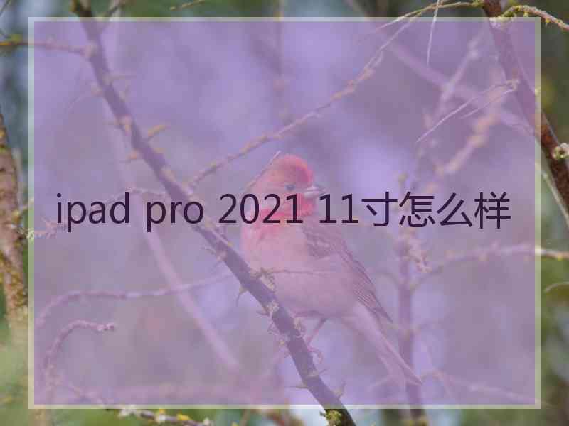 ipad pro 2021 11寸怎么样