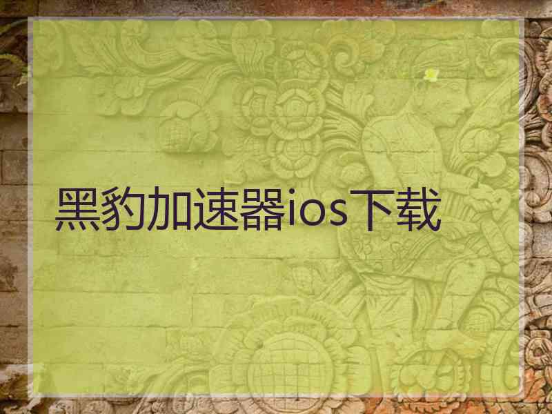 黑豹加速器ios下载