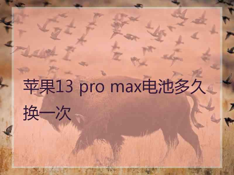 苹果13 pro max电池多久换一次