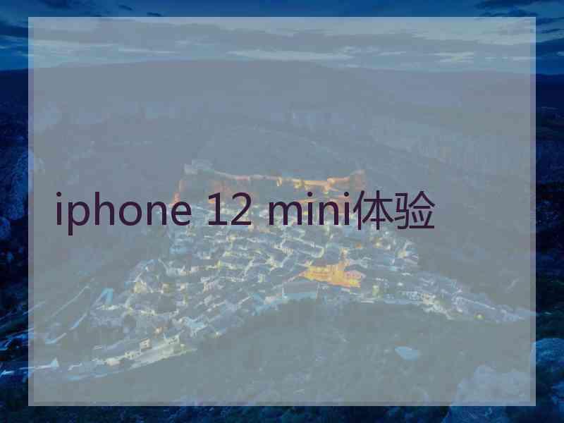 iphone 12 mini体验