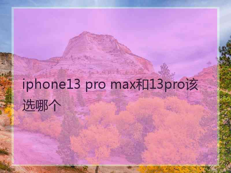 iphone13 pro max和13pro该选哪个