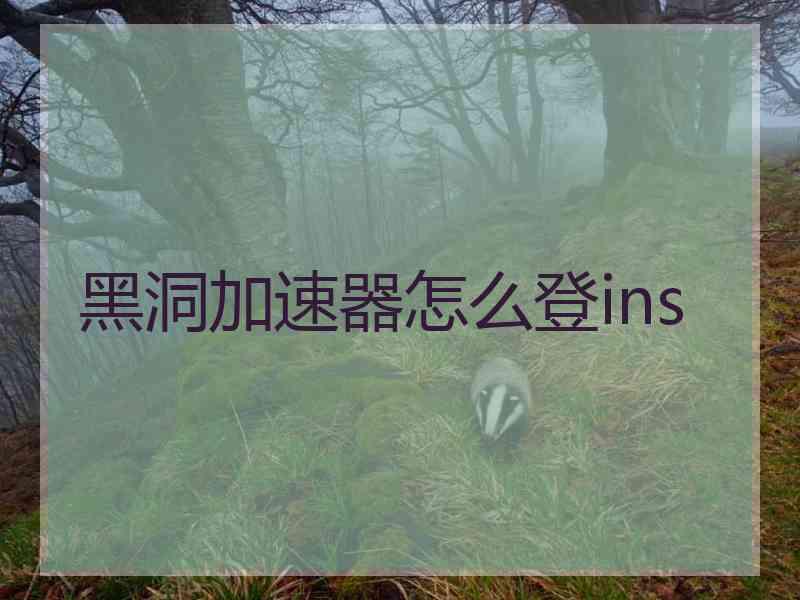 黑洞加速器怎么登ins