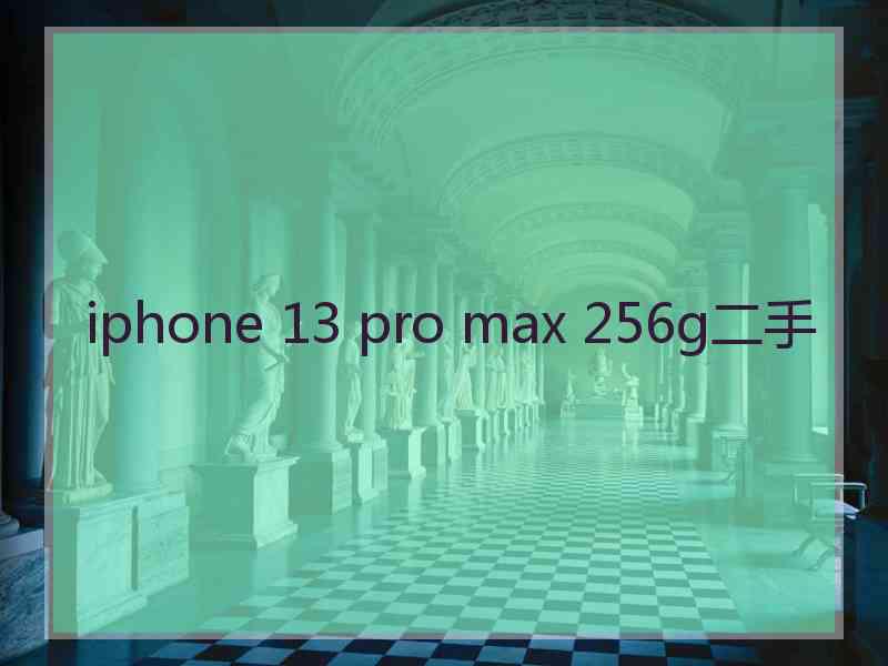 iphone 13 pro max 256g二手