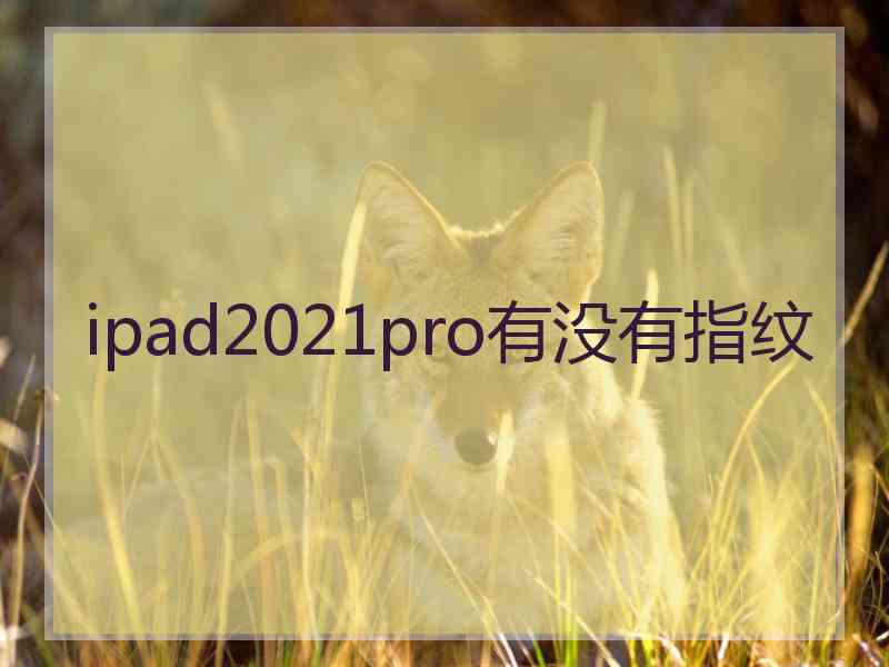 ipad2021pro有没有指纹