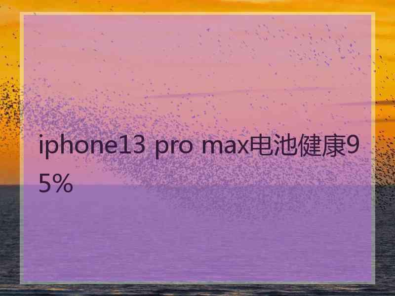 iphone13 pro max电池健康95%