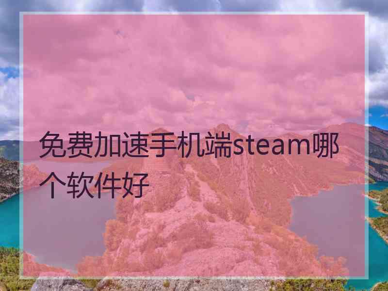 免费加速手机端steam哪个软件好