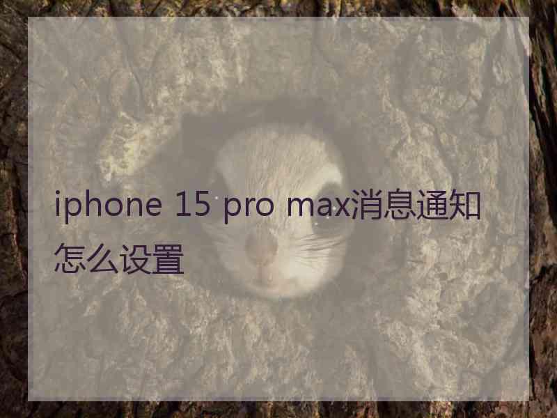 iphone 15 pro max消息通知怎么设置