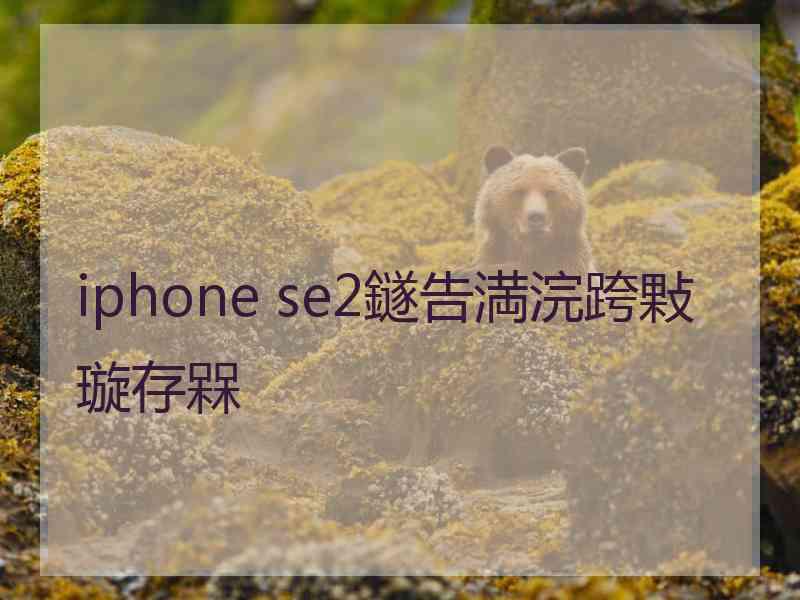 iphone se2鐩告満浣跨敤璇存槑