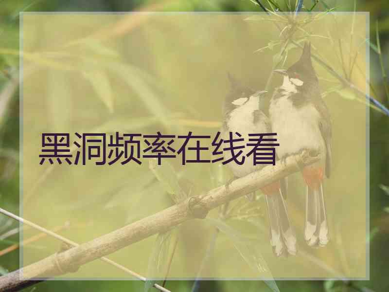 黑洞频率在线看