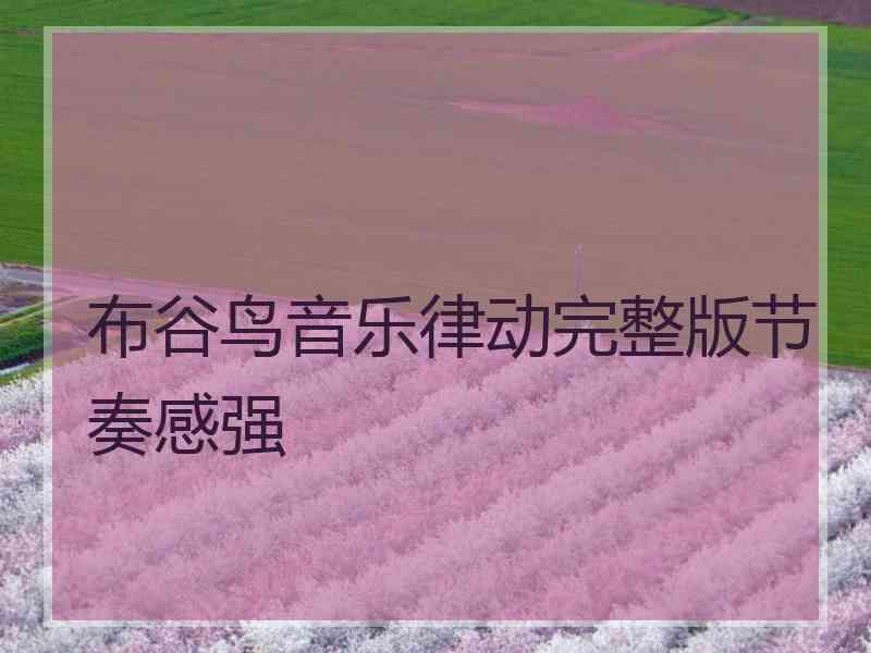 布谷鸟音乐律动完整版节奏感强