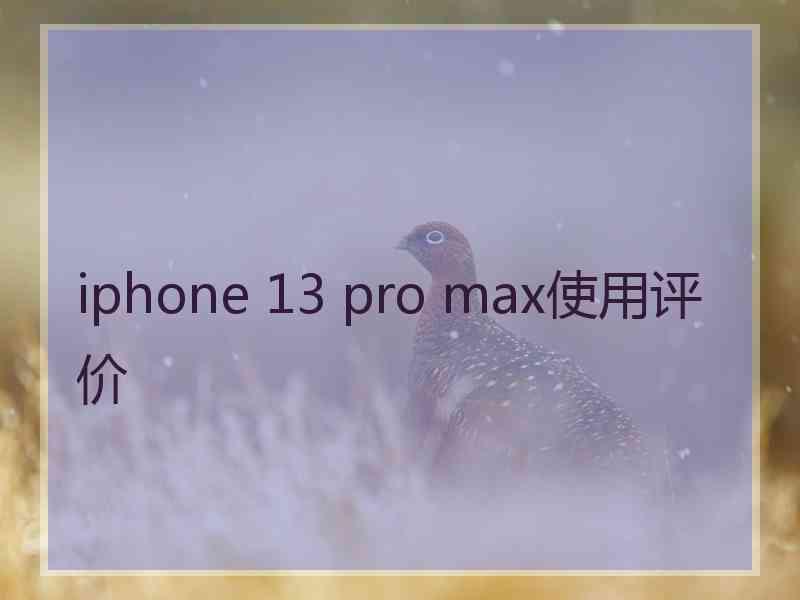 iphone 13 pro max使用评价