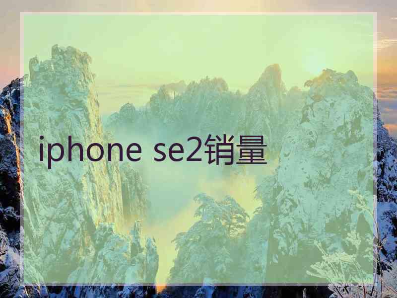 iphone se2销量