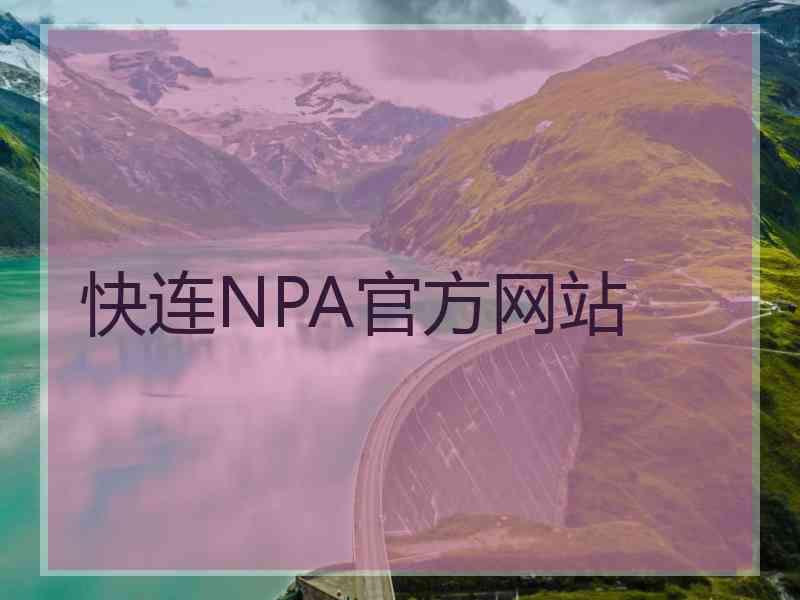 快连NPA官方网站