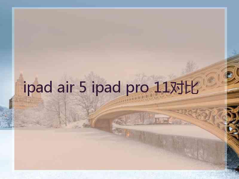 ipad air 5 ipad pro 11对比