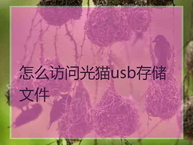 怎么访问光猫usb存储文件