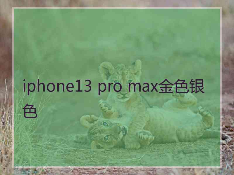 iphone13 pro max金色银色