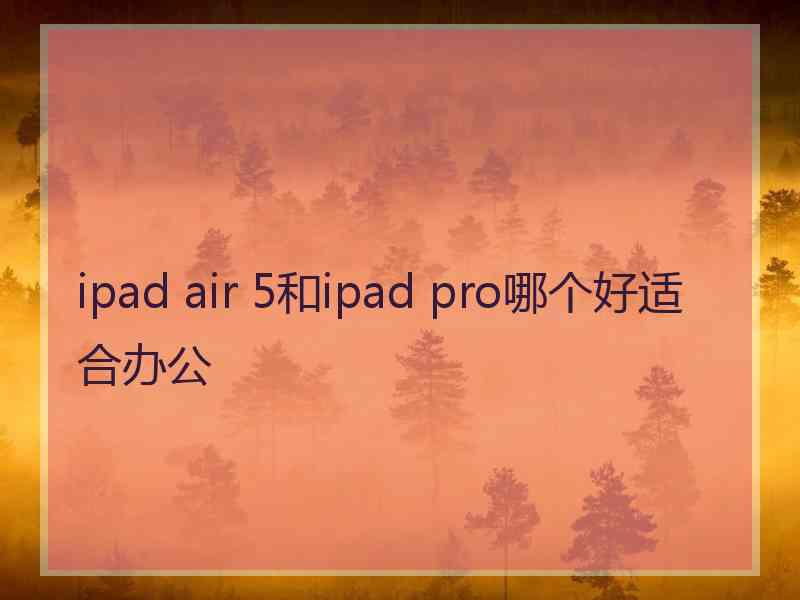 ipad air 5和ipad pro哪个好适合办公