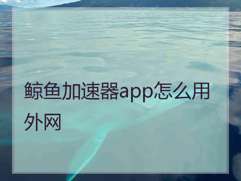 鲸鱼加速器app怎么用外网