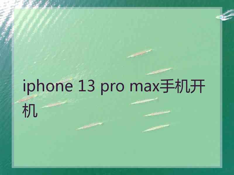 iphone 13 pro max手机开机