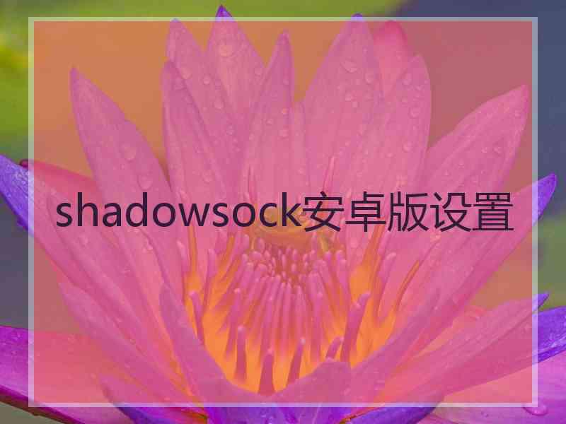 shadowsock安卓版设置