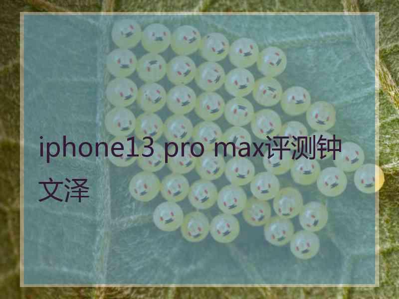 iphone13 pro max评测钟文泽