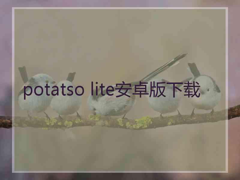 potatso lite安卓版下载