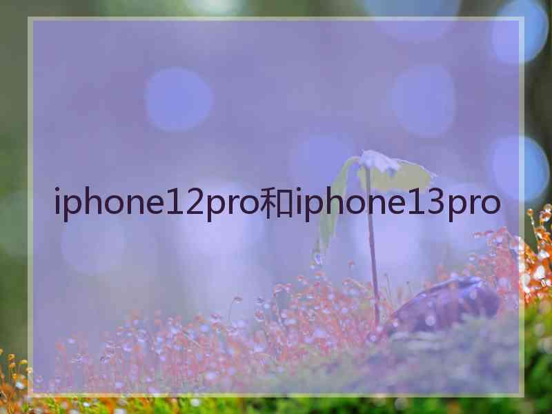 iphone12pro和iphone13pro