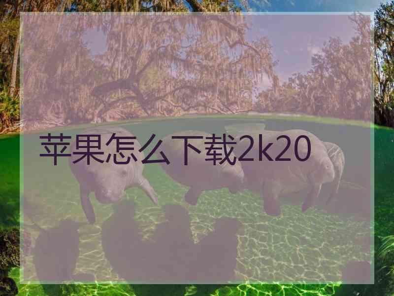 苹果怎么下载2k20