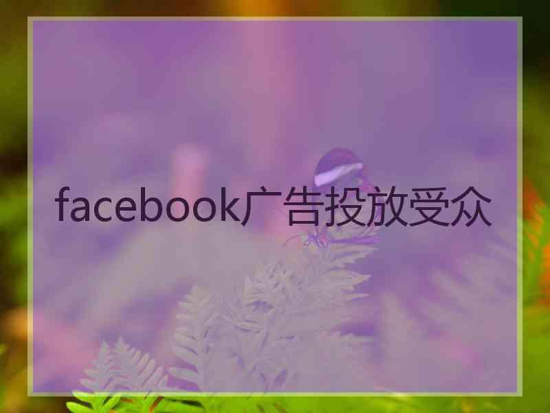 facebook广告投放受众