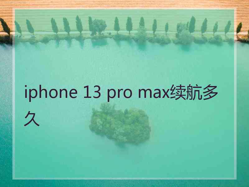 iphone 13 pro max续航多久