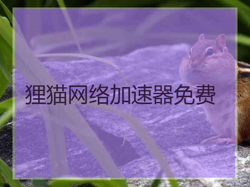 狸猫网络加速器免费