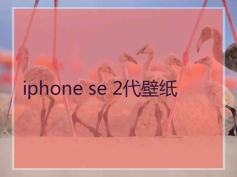 iphone se 2代壁纸