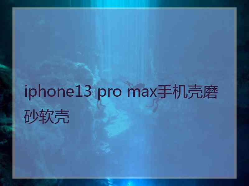 iphone13 pro max手机壳磨砂软壳