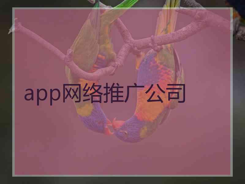 app网络推广公司