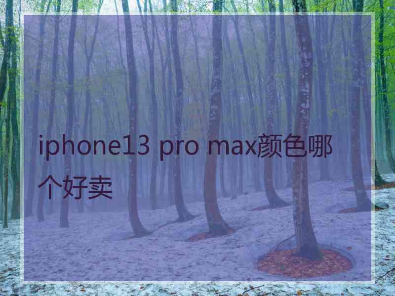 iphone13 pro max颜色哪个好卖