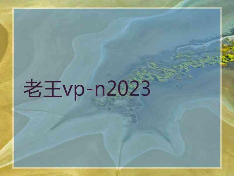 老王vp-n2023