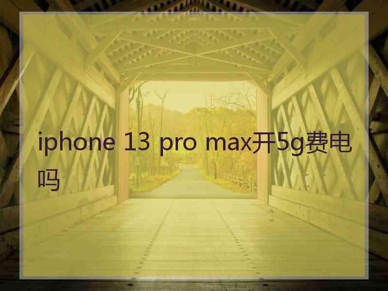 iphone 13 pro max开5g费电吗