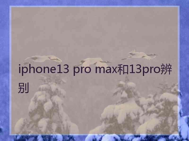 iphone13 pro max和13pro辨别