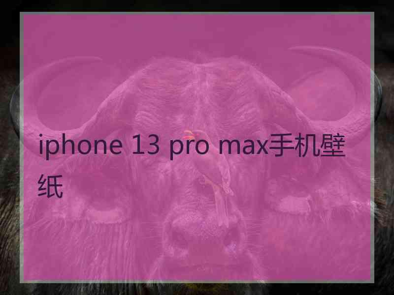 iphone 13 pro max手机壁纸