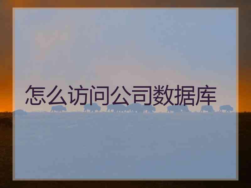 怎么访问公司数据库